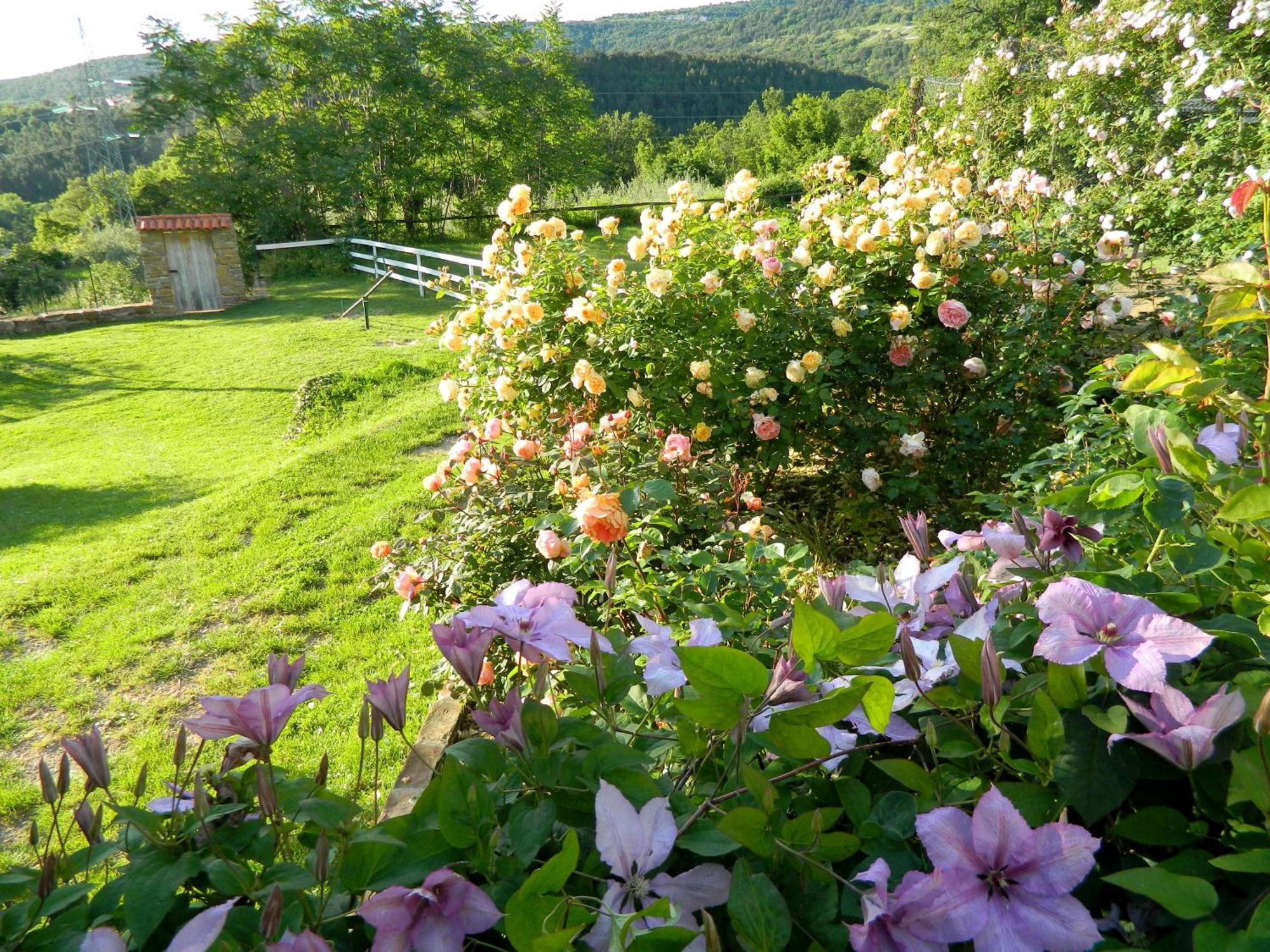 דקאני The Hug Of Nature מראה חיצוני תמונה